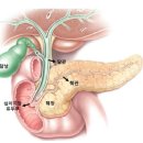 구로의원 네이버블로그