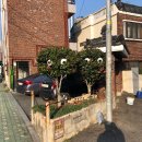 해리단사진관 | 흑백사진 예쁘게 찍는곳 '해리단사진관' 후기