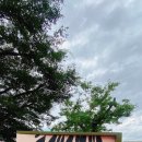 매화작은도서관 이미지