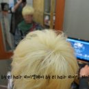 바이엘헤어