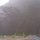 팔랑폭포 이미지