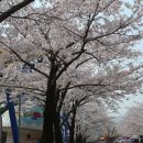 (주) 서울랜드 이미지