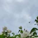 행주농장 이미지