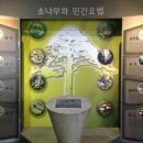 솔향공원 소나무전시관 네이버블로그