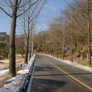 이백지 묘 이미지