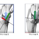 배방동물병원 이미지