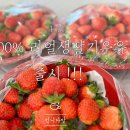 리얼생딸기우유 이미지