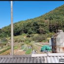 성화농장 이미지