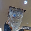 곰팡이사무소