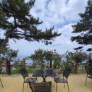 카누720애견풀빌라 이미지