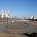 영롱이인라인 이미지