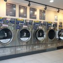 버블이 정관점 이미지