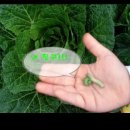 주경농장 이미지