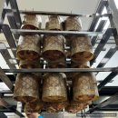 웰빙제과제빵 | 국민내일배움카드로 끌라시꼬분당끌라시꼬커피제과제빵교육원에서 제과 기초과정 수료 완료했숨둥