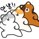 심다누팜 이미지