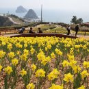 코리아둘레길 ’남파랑길’(해남구간) 이미지