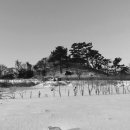 진도스타게스트하우스 이미지