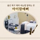 매곡중학교 | 울산 북구 속눈썹 클래식 연장 펌 잘하는 곳 아이참예뻐 유지력 최고