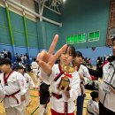 태낭태사 태권도 이미지