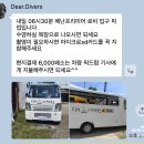 해상농장 | 호핑 투어+체험다이빙, 돌핀와칭, 나팔링, 디어다이버스 후기, 내돈내산, 보홀 해상투어, 준비물, 팁