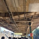 11650-7-69-25 | [25도쿄-1] 2025년 아리마 기념을 다녀오며. 2025 아리마 기념 후기.