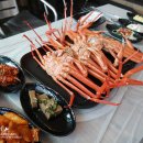 날으는산오징어 이미지