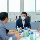 양지-19 이미지