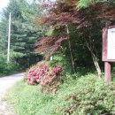 구천동휴게소 이미지