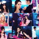더독스 미니 이미지