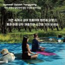 양양서핑학교