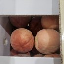맛있는 천일도 복숭아 아로니아 열매 이미지