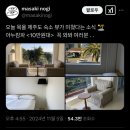 (주)블루팩토리 | 제주에서 샴푸랑 재회한 썰푼다 - (런던베이글뮤지엄 &amp; 블루엘리펀트 &amp; 세라믹팩토리아토)