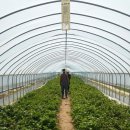 현중농장 이미지