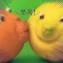 심심이 (주) 이미지