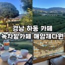 하동 가볼 만한 곳, 녹차밭 카페 &#34;매암제다원&#34; 내 돈 내산 후기! (Feat. 매암차 박물관)