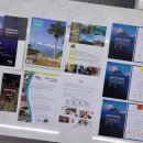 웅지2농장 | 체험단 후기:: 세웅지씨 스페셜티 생두 "산타펠리사 3종' 시음