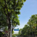 쌍문근린공원 | [도봉구 창동 가볼만한곳] 쌍문역 초안산 근린공원 도봉 둘레길 2.0 산책 후기