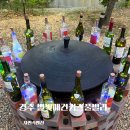 별빛키즈 애견 풀빌라 | 경북키즈풀빌라 경주별빛키즈애견풀빌라