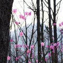 아름따다 이미지