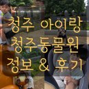 여우쉼터 | 청주 아이와 가볼만한곳 청주동물원 재개장 동물생태해설 프로그램 아기랑 준비물 후기