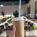 동굴에 평화의 동백이 | 성산일출봉 근처 가볼만한 곳 제주 족욕체험 가능한 족욕카페쉬멍 방문 후기