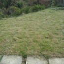 달나무농장 이미지