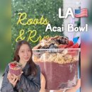 미국 LA 엘에이 맛집 아사이볼 추천 산타모니카 Roots and Rye, 미국여행에서 만난 인생 Acai Bowl