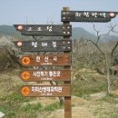 경남 하동.형제봉(성제봉 1115m) 최참판댁( 매화꽃 만발한 토지세트장)3/23일요일 이미지