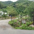 숲속의 쉼터 이미지