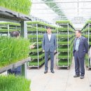 대산육묘장 이미지