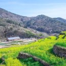 남해-137 이미지