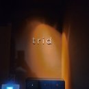 트리드(trid)