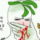 안뮤직 이미지