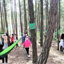 해평초교 이미지